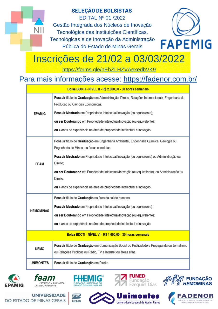 Divulgação Edital NITs MG