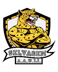 Imagem7