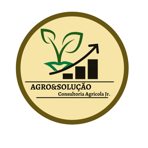 agro e solucao consultoria jr