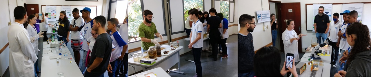 site visita escola Easy 