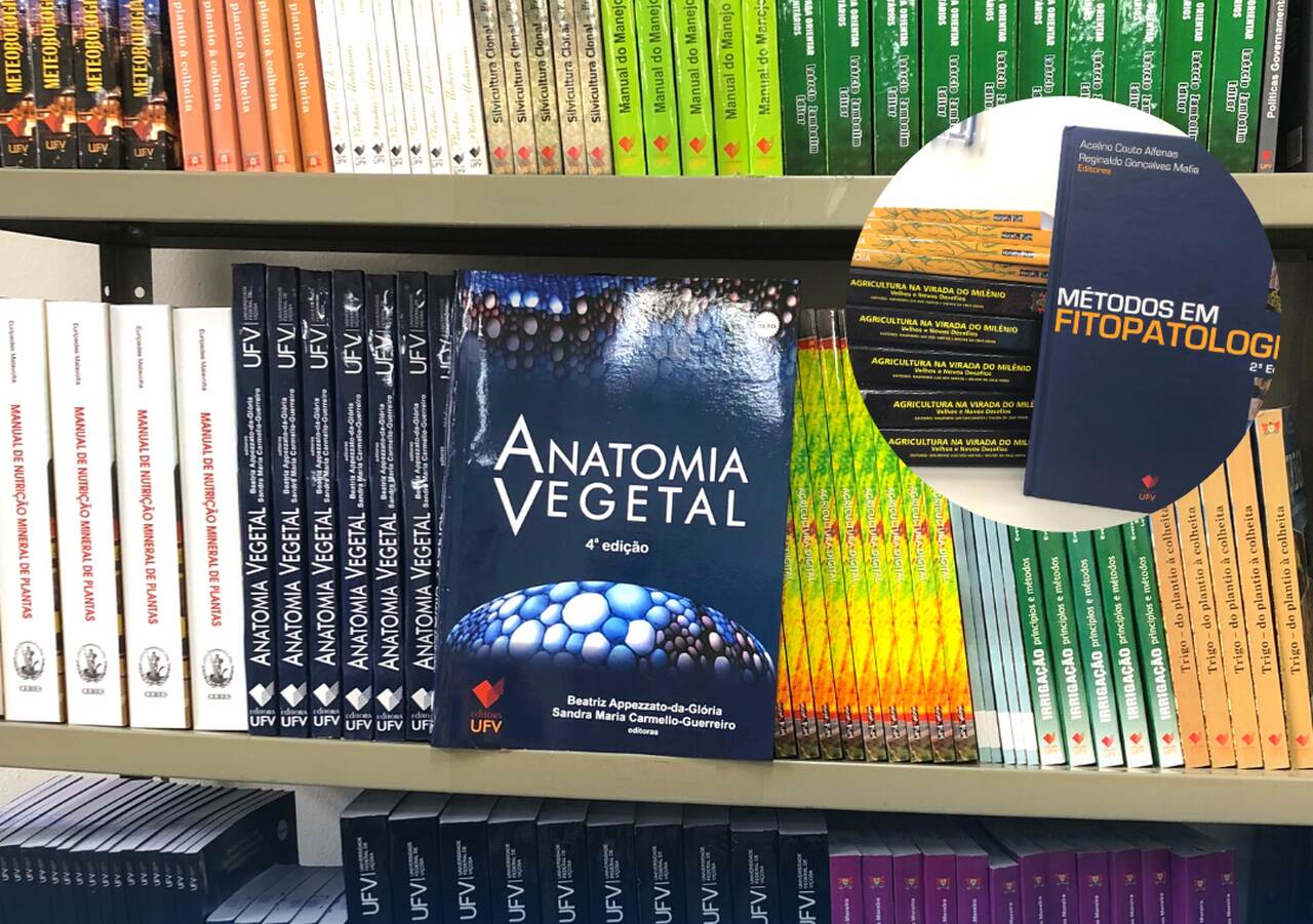 livros 