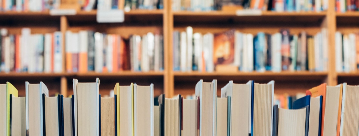 Mestrado: Educação